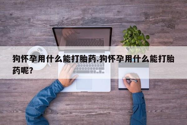 打胎药微信购买官方正品狗怀孕用什么能打胎药.狗怀孕用什么能打胎药呢？