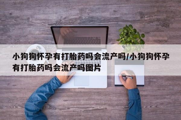 打胎药微信购买官方正品小狗狗怀孕有打胎药吗会流产吗/小狗狗怀孕有打胎药吗会流产吗图片