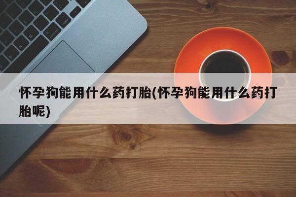 打胎药微信购买官方正品怀孕狗能用什么药打胎(怀孕狗能用什么药打胎呢)