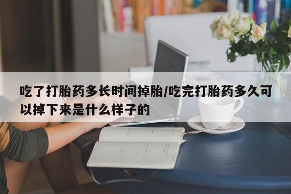 打胎药微信购买官方正品吃了打胎药多长时间掉胎/吃完打胎药多久可以掉下来是什么样子的